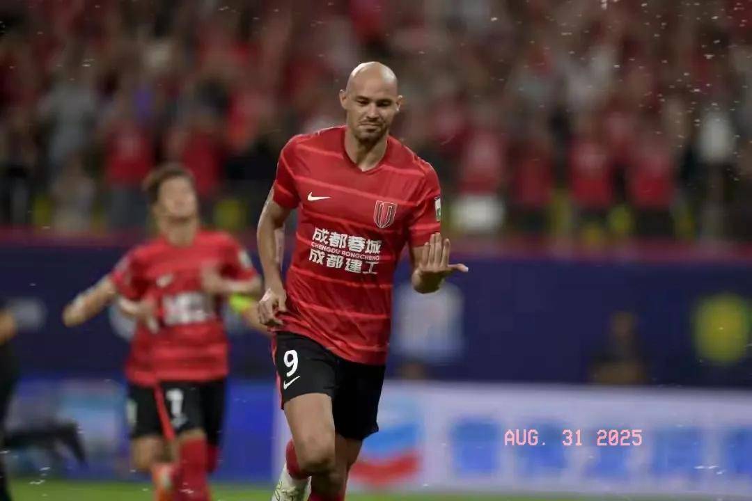 争者提供反 争者提供反